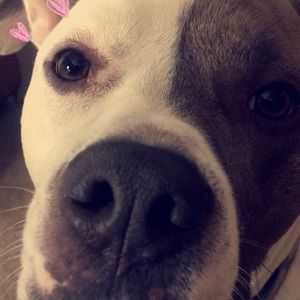 Meet your Posher, Lexi